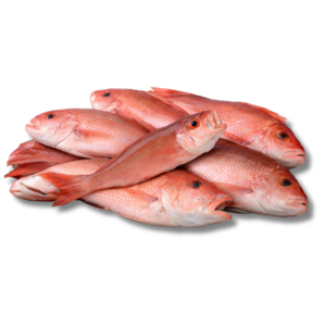 Pescado de Mar (1 LB)